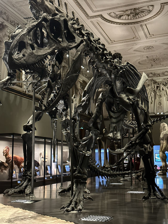 Step Back in Time: Explore the Dinosaurs of Vienna’s Natural History Museum