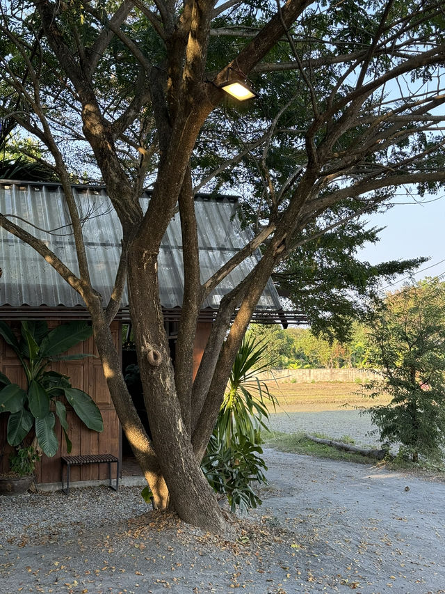 Breathe Rice Valley ที่พักเชียงใหม่ 🏡🌾💤🛌