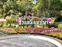 Chill to Thrill:Flower Wonderland 