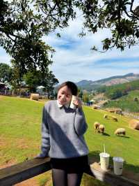 Chill with chika farm