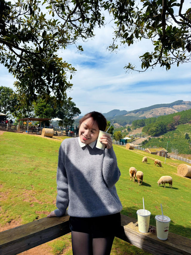 Chill with chika farm