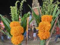 งานพระธาตุยาคู