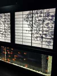 銀座三越「金魚藝術展」