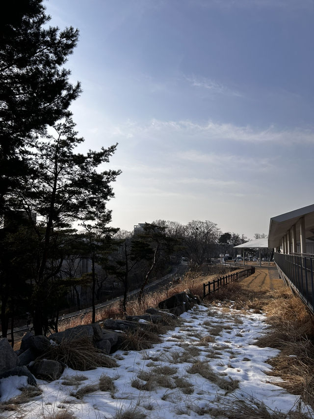 하얼빈 의거의 역사적 의거를 담은 안중근의사동상🇰🇷
