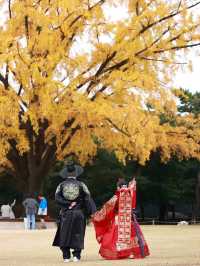 Hanbok Travel Guide for Gyeongbokgung Palace