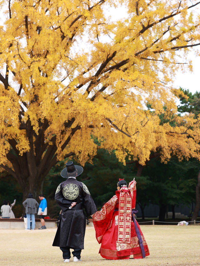 Hanbok Travel Guide for Gyeongbokgung Palace