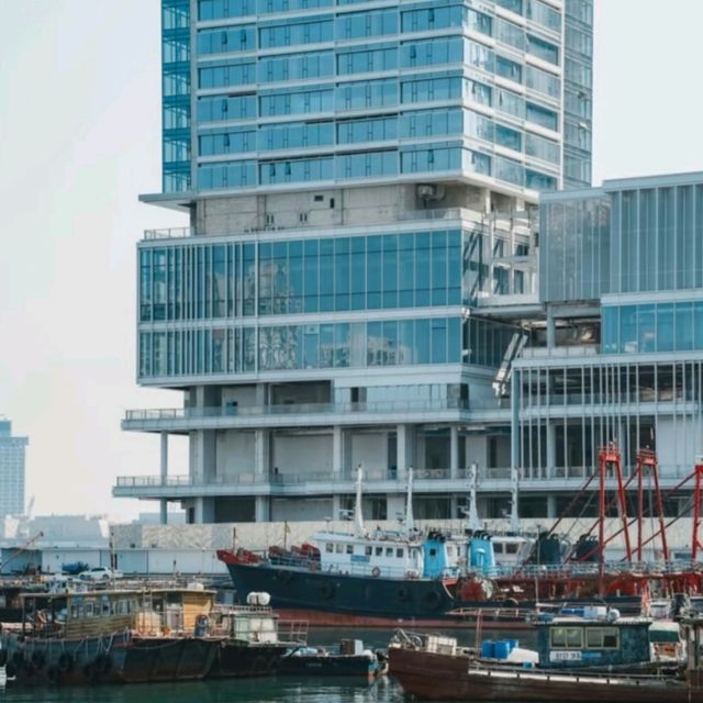 蛇口漁港的市井詩意｜漁人碼頭晨昏記