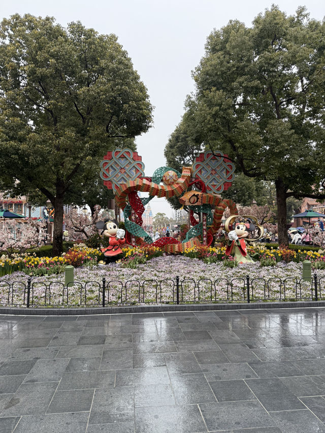 Overnight in Shanghai means Disney