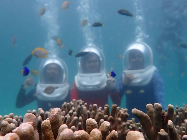 Island Bliss and Ocean Thrills: A Semporna Holiday You’ll Never Forget