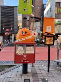 東京5日4夜行程