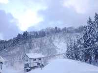 【新潟県】日本有数の豪雪地帯で、地酒が美味しい隠れ宿「醸す森」