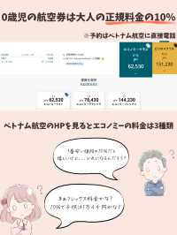 【ANAマイル利用】０歳子連れベトナム航空の使い方