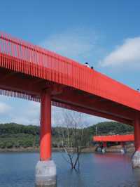 深圳虹橋公園：叢林中紅飄帶 
