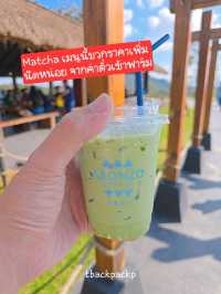 Abonzo ฟาร์มแกะสุดCute ที่เชียงราย 🐏🐑