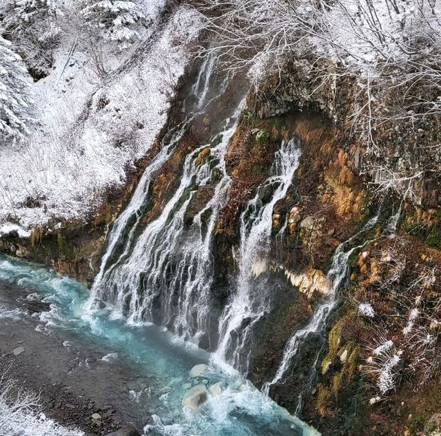 겨울여행에 빠질 수 없는 삿포로 비에이☃️