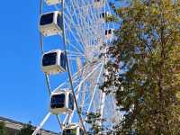 Urban Strolls: Discovering South Wharf’s Charm