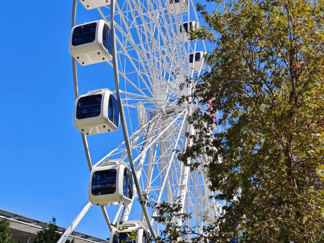 Urban Strolls: Discovering South Wharf’s Charm
