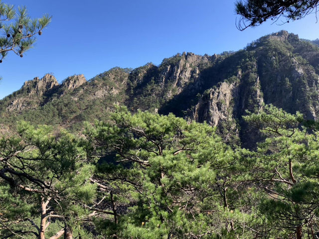 A Hiker’s Paradise: Seoraksan National Park Adventure