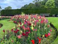 Discover Pollok Country Park: Glasgow's Hidden Gem