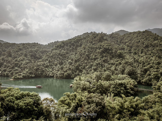 Discovering Dinghushan Lake Scenic Spot