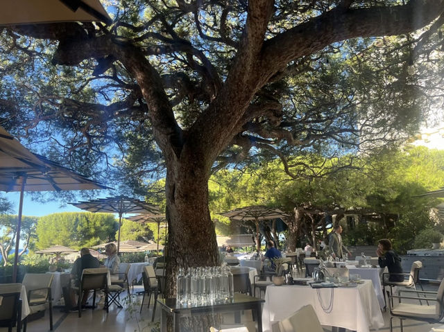 Grand-Hôtel du Cap-Ferrat: Timeless Riviera Luxury