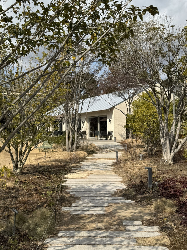 귀여운 곰인형이 있는 스타벅스 