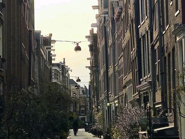 Nederland: The Land of Canals, Windmills, and Innovation