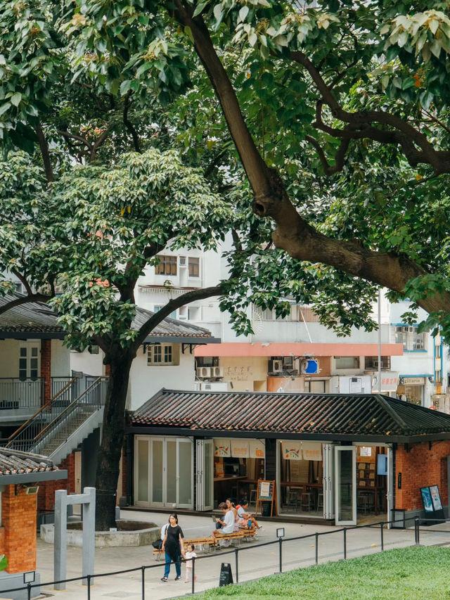 香港北角｜最cozy的城市綠洲🌲🍃Oi!