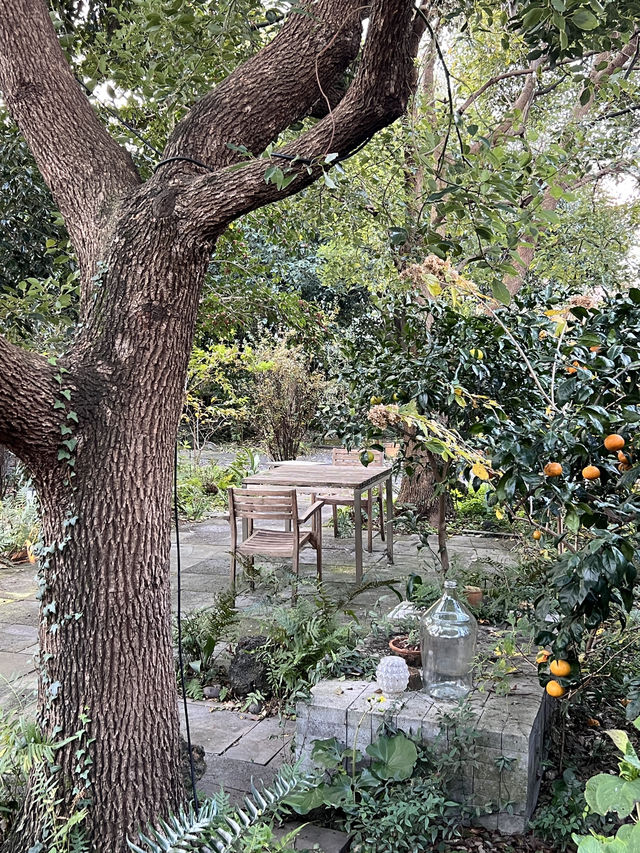 🌺또 머무르고픈 제주도의 따뜻한 집🌺