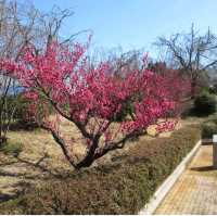 Togokusan Fruit Park (東谷山フルーツパーク)