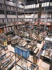 Oxford’s Museums in Spring: A Perfect Blend of History & Blooming Beauty