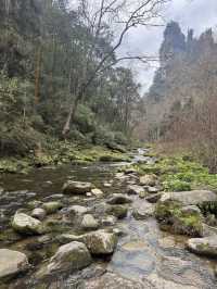 9 Days in Changsha, Zhangjiajie and Fenghuang