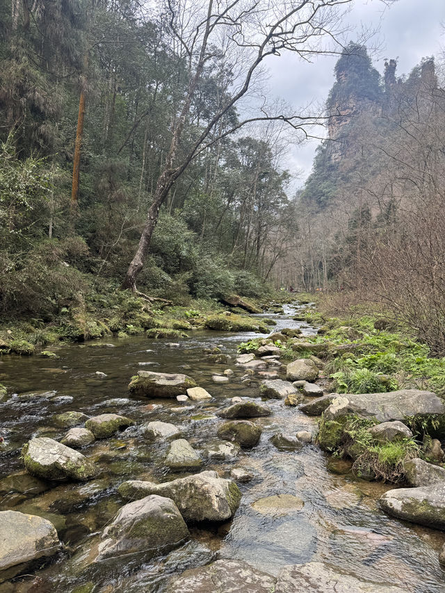 9 Days in Changsha, Zhangjiajie and Fenghuang