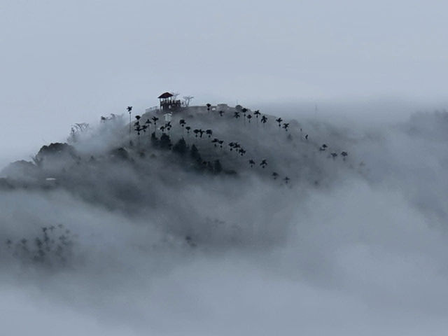隙頂的二延平步道看雲去