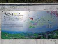 嘉義縣梅山鄉太平村的太平雲梯是台灣最高的景觀吊橋