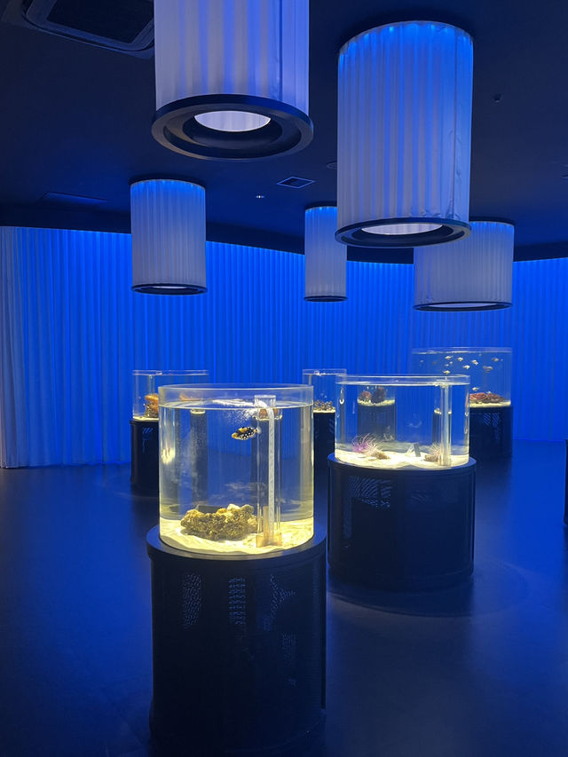 NIFREL Aquarium @ Osaka