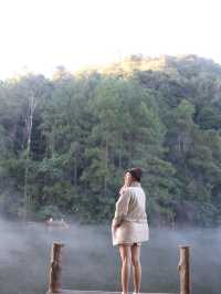 ชมทะเลหมอก ที่ปางอุ๋ง