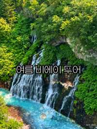 여름에 꼭 가야하는 비에이투어 코스 소개