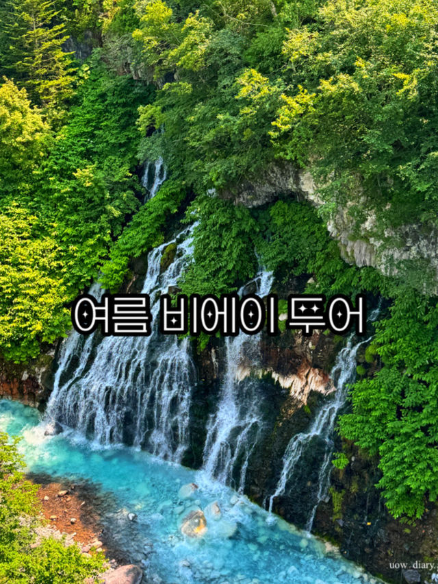 여름에 꼭 가야하는 비에이투어 코스 소개
