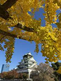 Osaka Castle ปราสาทสัญลักษณ์แห่งเมือง Osaka