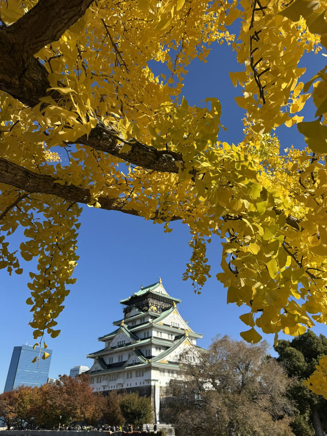 Osaka Castle ปราสาทสัญลักษณ์แห่งเมือง Osaka