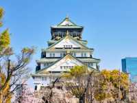 Chasing Sakura at Osaka Castle