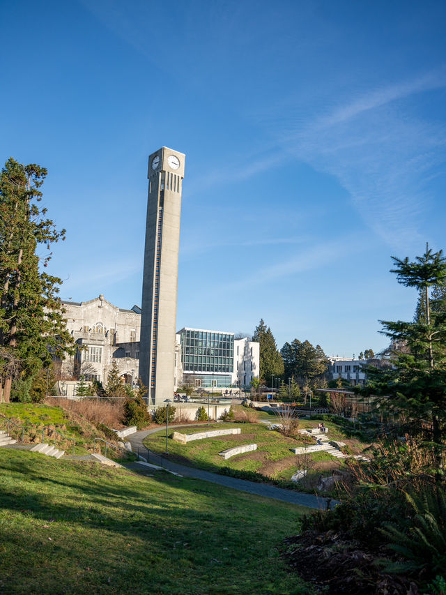 バンクーバーのUBCキャンパス：広大な敷地と美しい自然に囲まれた名門大学