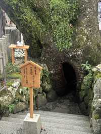 🌳 熊野那智大社：穿越百年樹洞的心願