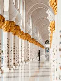 Sheikh Zayed Grand Mosque: An Icon of Architectural Splendor and Majestic Craftsmanship.