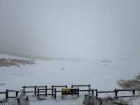雪化粧の草千里ヶ浜で感じた幻想的な風景