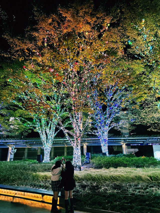 東京｜免費夜遊景點一日遊