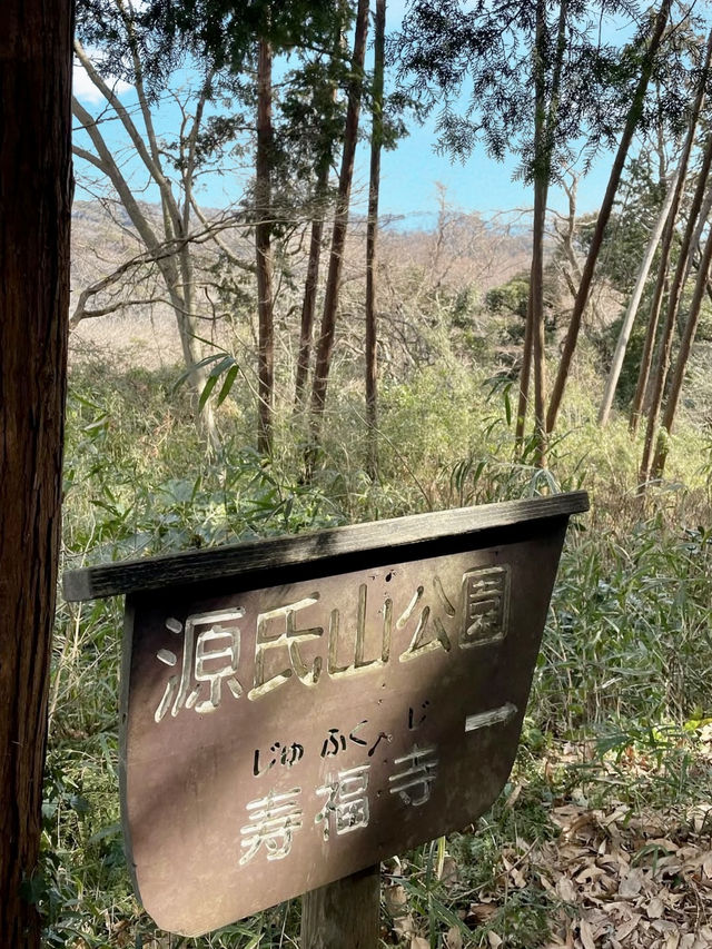 Spring Stroll at Genjiyama Park – A Hidden Gem in Kamakura 🌸