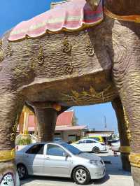 หนึ่งเดียวในไทย🚗 ขับรถลอดท้องช้าง🐘
