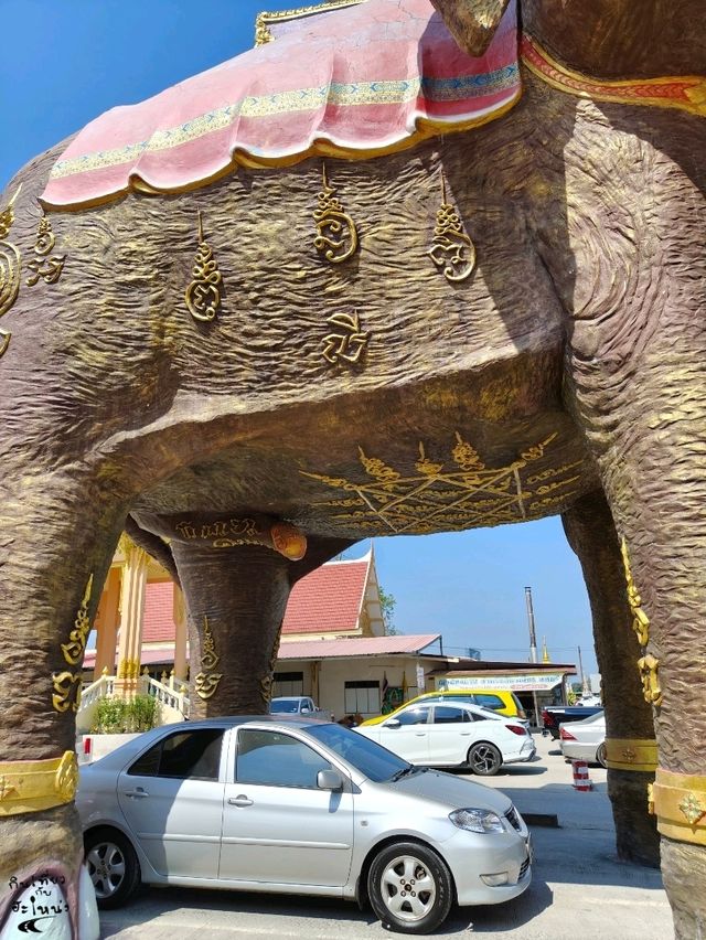 หนึ่งเดียวในไทย🚗 ขับรถลอดท้องช้าง🐘